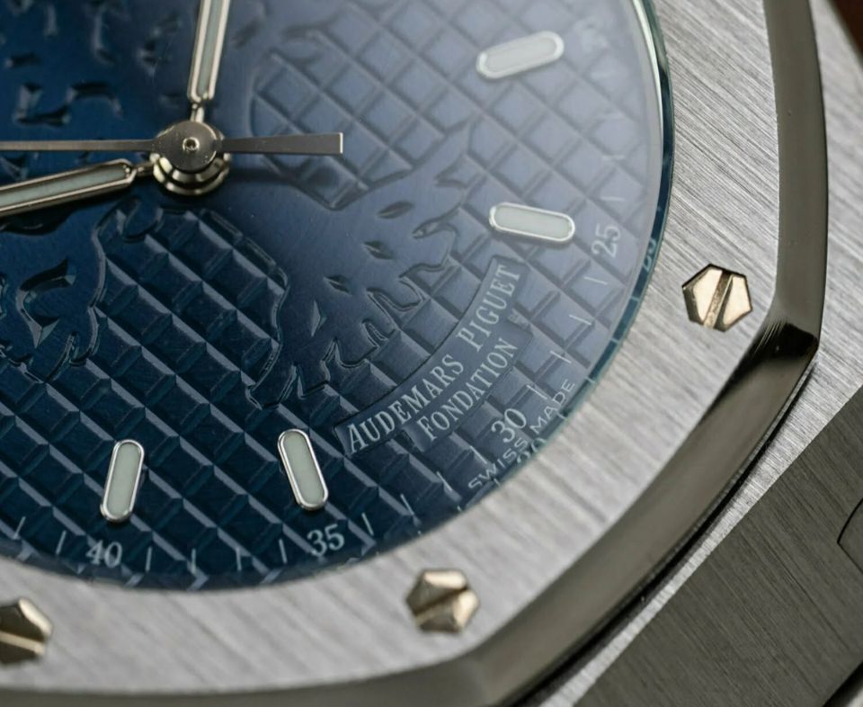 Audemars Piguet Foundation Expands Global NGO Engagement on World NGO Day